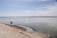 
DSC00377